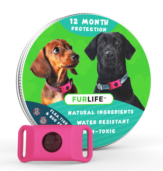 PawLife™ - 12 Months All Natural Flea and Tick Tags for Dogs
